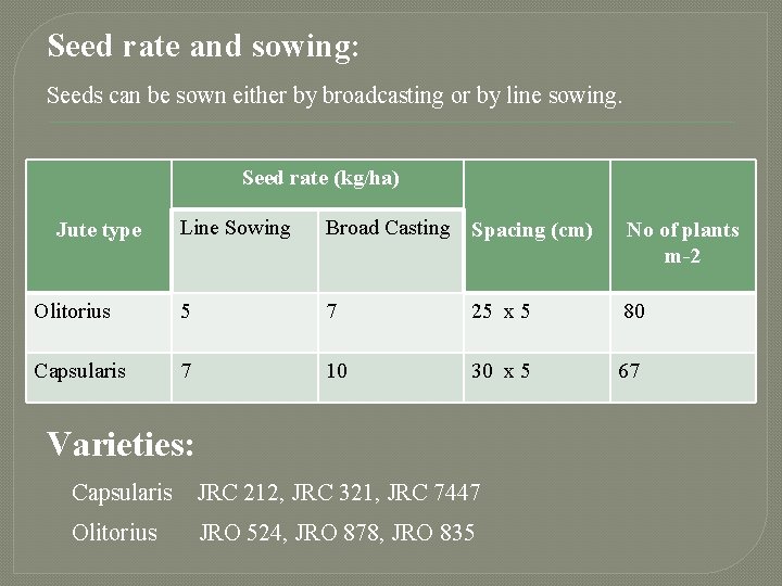 Seed rate and sowing: Seeds can be sown either by broadcasting or by line