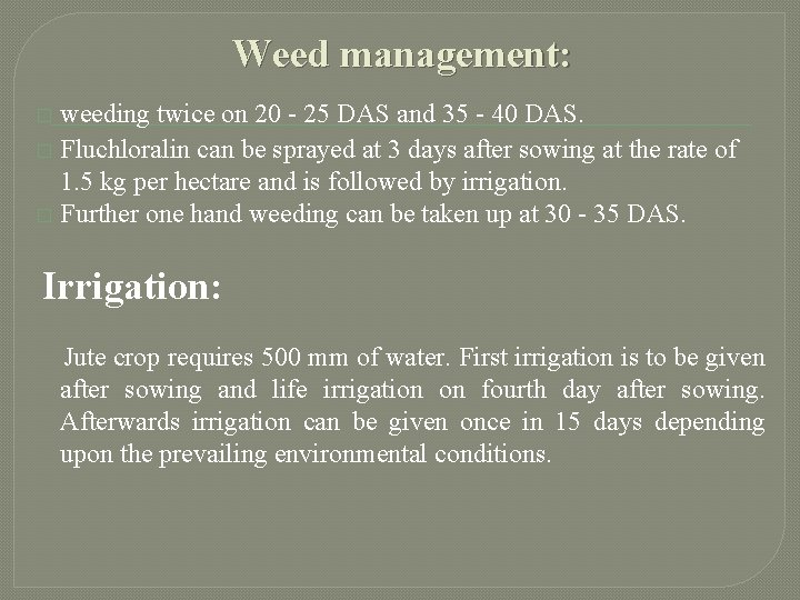 Weed management: weeding twice on 20 - 25 DAS and 35 - 40 DAS.
