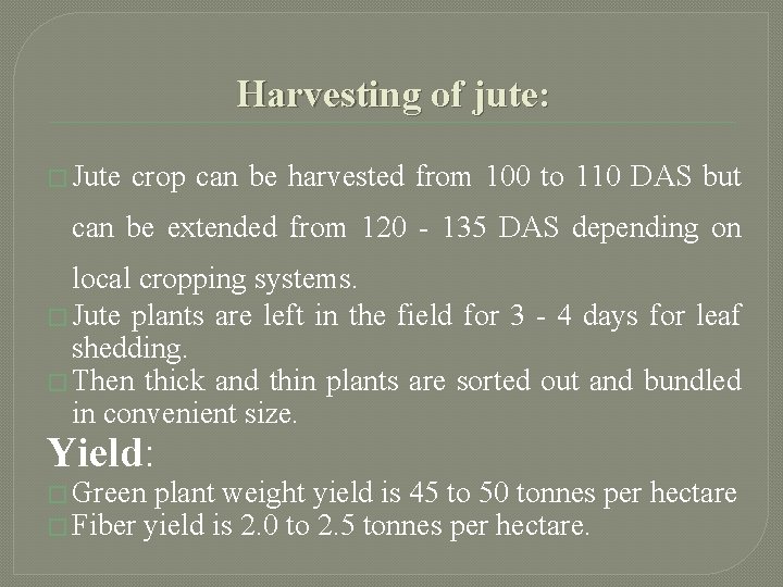 Harvesting of jute: � Jute crop can be harvested from 100 to 110 DAS