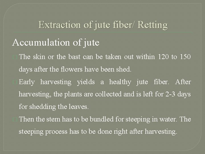 Extraction of jute fiber/ Retting Accumulation of jute � The skin or the bast