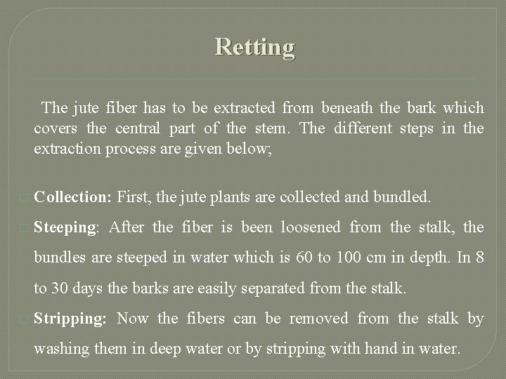 Retting The jute fiber has to be extracted from beneath the bark which covers