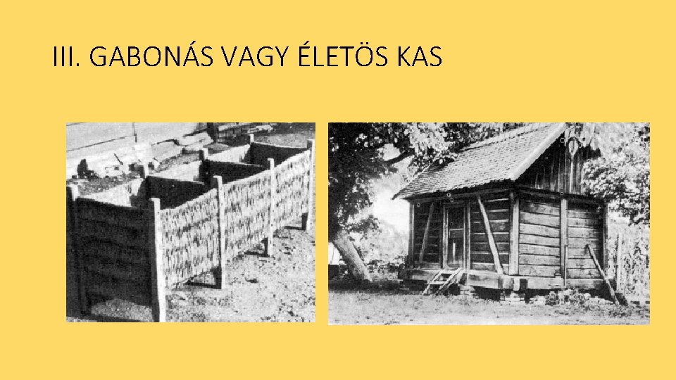 III. GABONÁS VAGY ÉLETÖS KAS 