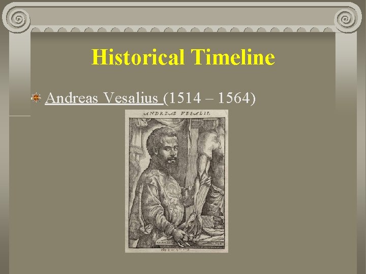 Historical Timeline Andreas Vesalius (1514 – 1564) 