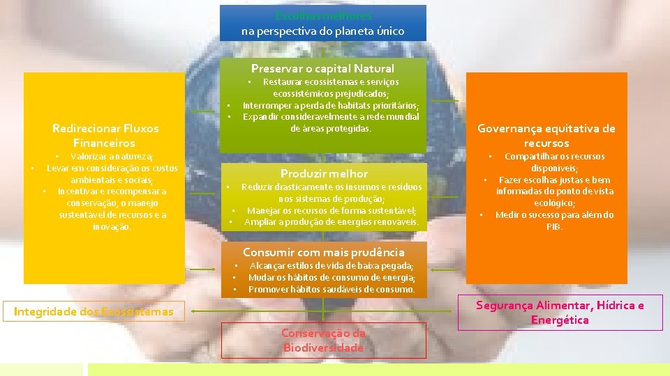 Escolhas melhores na perspectiva do planeta único Restaurar ecossistemas e serviços ecossistémicos prejudicados; Interromper