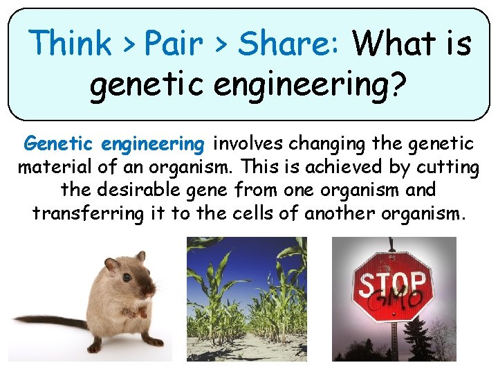Think > Pair > Share: What is genetic engineering? Genetic engineering involves changing the