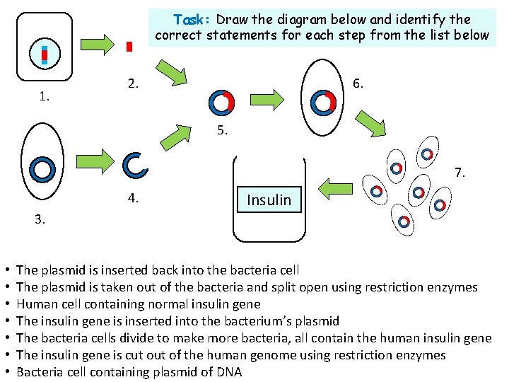 Task: Draw the diagram below and identify the correct statements for each step from