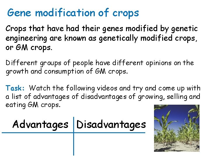Gene modification of crops Crops that have had their genes modified by genetic engineering