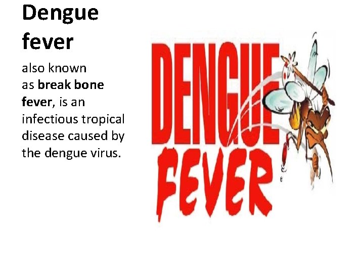 Dengue fever also known as break bone fever, is an infectious tropical disease caused