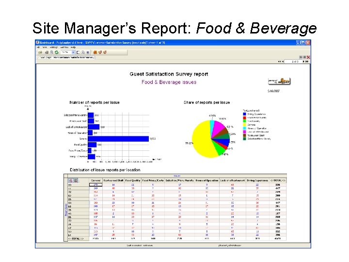 Site Manager’s Report: Food & Beverage © 2008 Megaputer Intelligence 