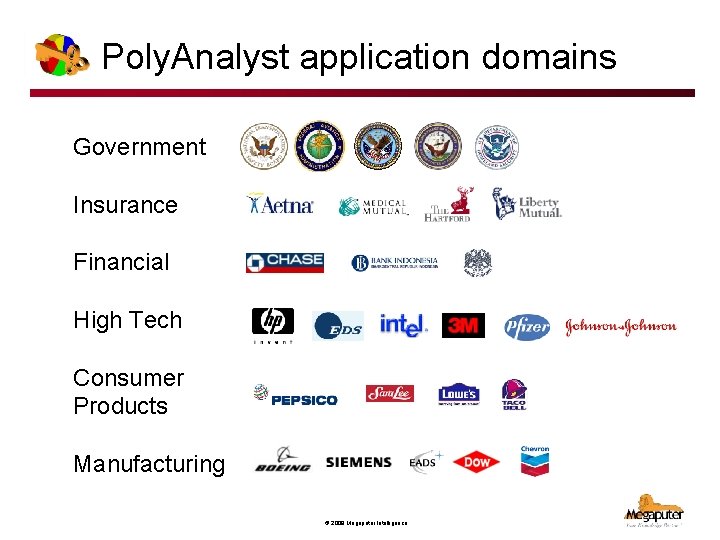Poly. Analyst application domains Government Insurance Financial High Tech Consumer Products Manufacturing © 2008