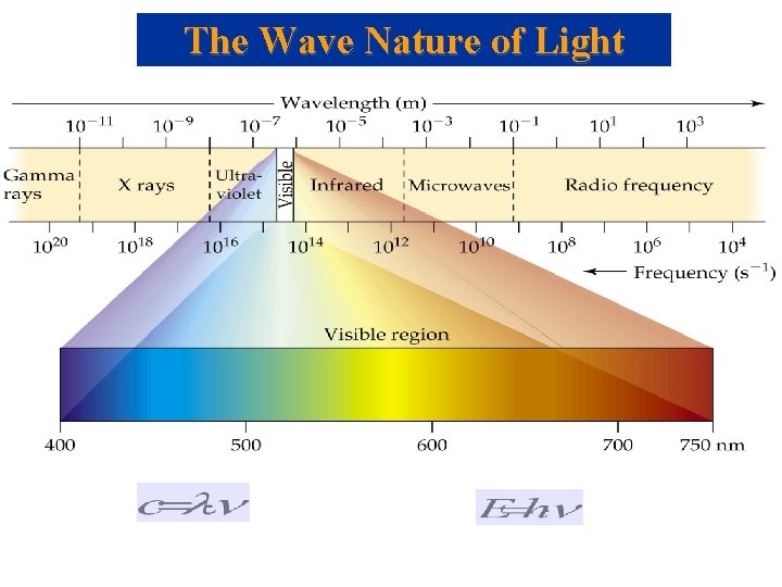 The Wave Nature of Light 