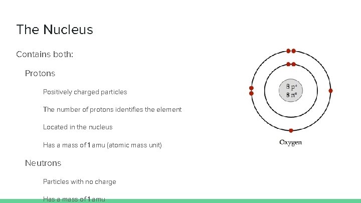 The Nucleus Contains both: Protons Positively charged particles The number of protons identifies the
