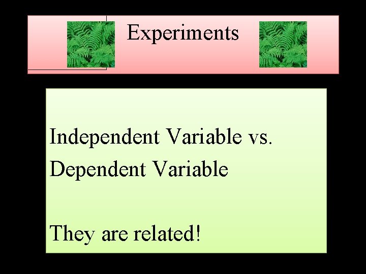 Experiments Independent Variable vs. Dependent Variable They are related! 
