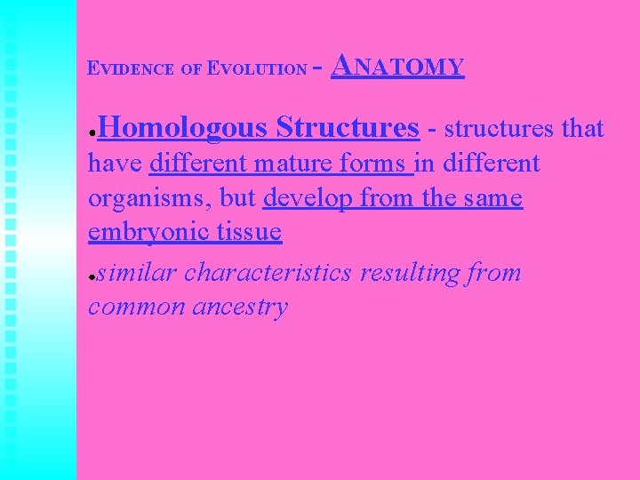 EVIDENCE OF EVOLUTION ● ANATOMY Homologous Structures - structures that have different mature forms