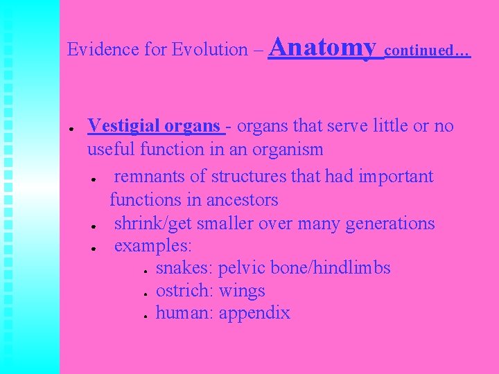 Evidence for Evolution – Anatomy continued… ● Vestigial organs - organs that serve little