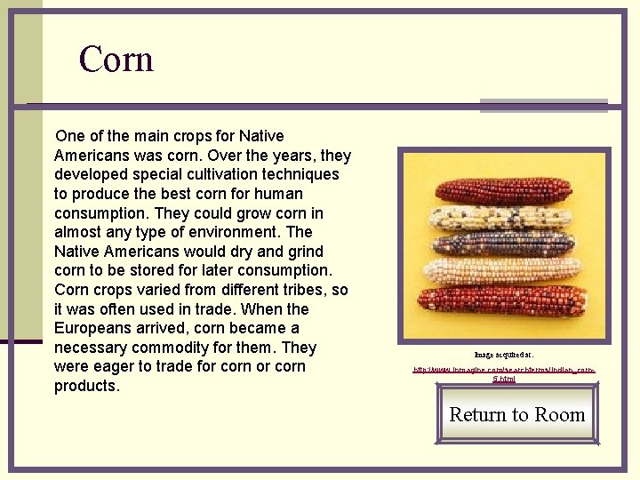 Corn One of the main crops for Native Americans was corn. Over the years,