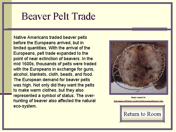 Beaver Pelt Trade Native Americans traded beaver pelts before the Europeans arrived, but in