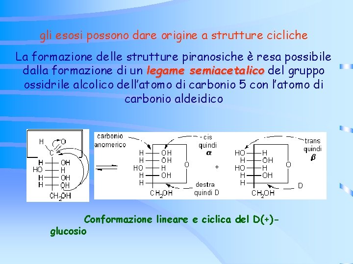 gli esosi possono dare origine a strutture cicliche La formazione delle strutture piranosiche è gli esosi possono dare origine a strutture cicliche La formazione delle strutture piranosiche è