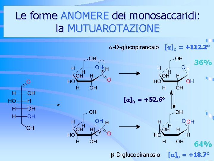 Le forme ANOMERE dei monosaccaridi: la MUTUAROTAZIONE -D-glucopiranosio [ ]D = +112. 2° 36%