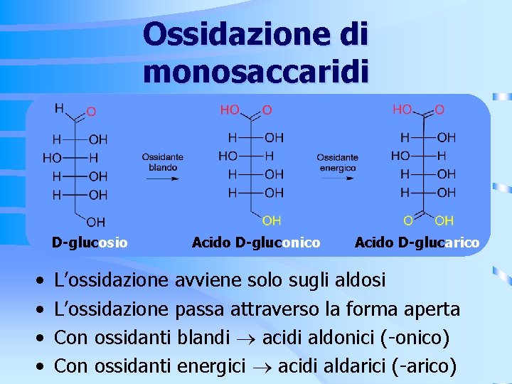 Ossidazione di monosaccaridi D-glucosio • • Acido D-gluconico Acido D-glucarico L’ossidazione avviene solo sugli Ossidazione di monosaccaridi D-glucosio • • Acido D-gluconico Acido D-glucarico L’ossidazione avviene solo sugli