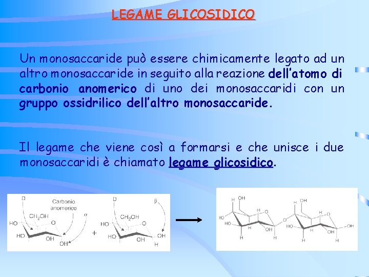 LEGAME GLICOSIDICO Un monosaccaride può essere chimicamente legato ad un altro monosaccaride in seguito LEGAME GLICOSIDICO Un monosaccaride può essere chimicamente legato ad un altro monosaccaride in seguito