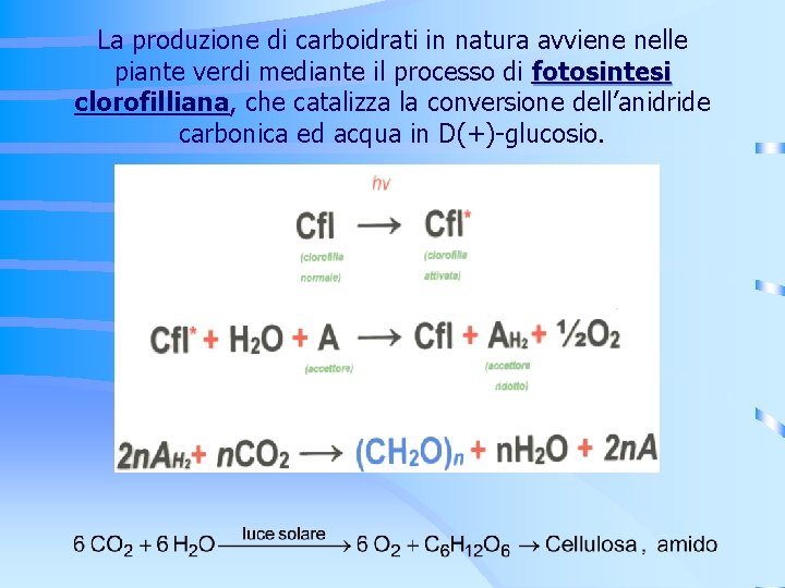 La produzione di carboidrati in natura avviene nelle piante verdi mediante il processo di La produzione di carboidrati in natura avviene nelle piante verdi mediante il processo di