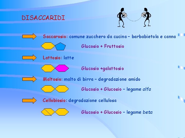 DISACCARIDI Saccarosio: comune zucchero da cucina – barbabietola e canna Glucosio + Fruttosio Lattosio: DISACCARIDI Saccarosio: comune zucchero da cucina – barbabietola e canna Glucosio + Fruttosio Lattosio: