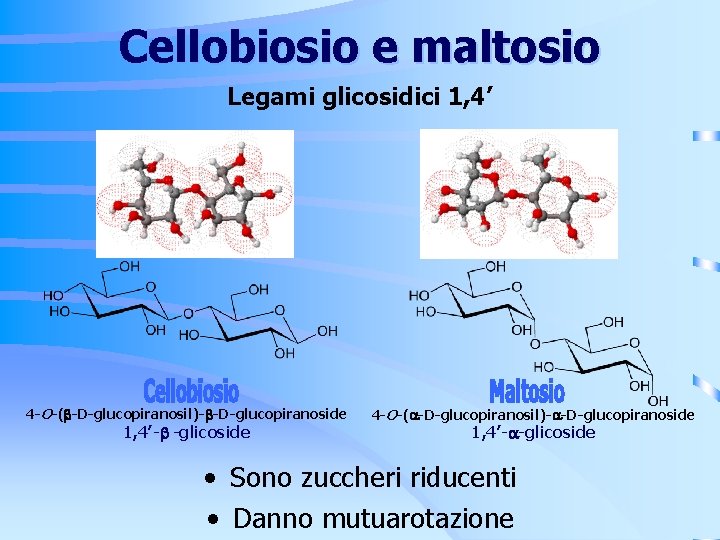 Cellobiosio e maltosio Legami glicosidici 1, 4’ 4 -O-( -D-glucopiranosil)- -D-glucopiranoside 1, 4’- -glicoside Cellobiosio e maltosio Legami glicosidici 1, 4’ 4 -O-( -D-glucopiranosil)- -D-glucopiranoside 1, 4’- -glicoside