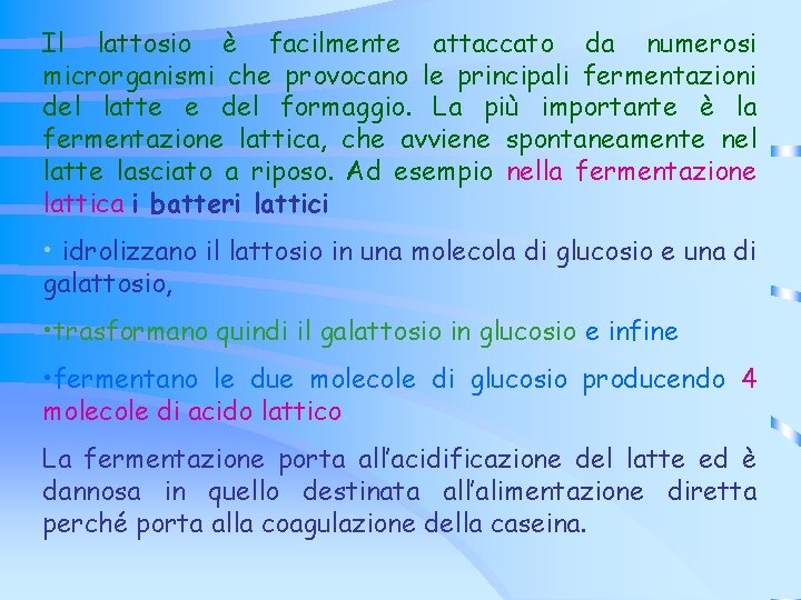 Il lattosio è facilmente attaccato da numerosi microrganismi che provocano le principali fermentazioni del Il lattosio è facilmente attaccato da numerosi microrganismi che provocano le principali fermentazioni del