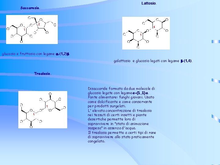 Saccarosio. Lattosio. glucosio e fruttosio con legame -(1, 2). galattosio e glucosio legati con Saccarosio. Lattosio. glucosio e fruttosio con legame -(1, 2). galattosio e glucosio legati con