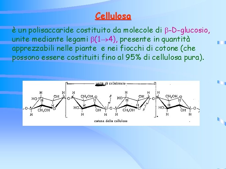 Cellulosa è un polisaccaride costituito da molecole di -D-glucosio, unite mediante legami (1 4), Cellulosa è un polisaccaride costituito da molecole di -D-glucosio, unite mediante legami (1 4),