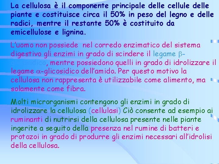 La cellulosa è il componente principale delle cellule delle piante e costituisce circa il La cellulosa è il componente principale delle cellule delle piante e costituisce circa il