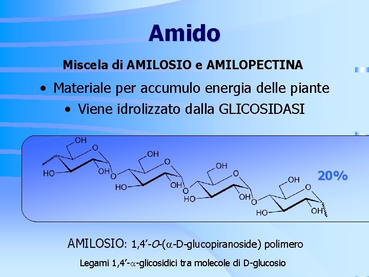 Amido Miscela di AMILOSIO e AMILOPECTINA • Materiale per accumulo energia delle piante • Amido Miscela di AMILOSIO e AMILOPECTINA • Materiale per accumulo energia delle piante •
