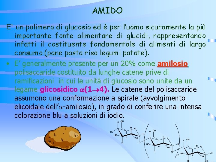 AMIDO E' un polimero di glucosio ed è per l’uomo sicuramente la più importante AMIDO E' un polimero di glucosio ed è per l’uomo sicuramente la più importante