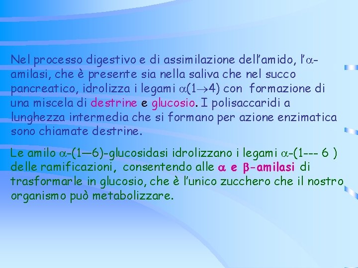 Nel processo digestivo e di assimilazione dell’amido, l’ amilasi, che è presente sia nella Nel processo digestivo e di assimilazione dell’amido, l’ amilasi, che è presente sia nella