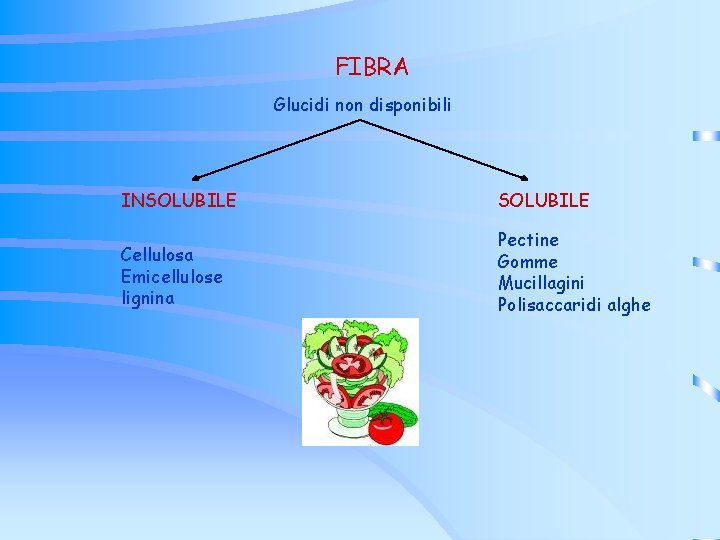 FIBRA Glucidi non disponibili INSOLUBILE Cellulosa Emicellulose lignina Pectine Gomme Mucillagini Polisaccaridi alghe FIBRA Glucidi non disponibili INSOLUBILE Cellulosa Emicellulose lignina Pectine Gomme Mucillagini Polisaccaridi alghe