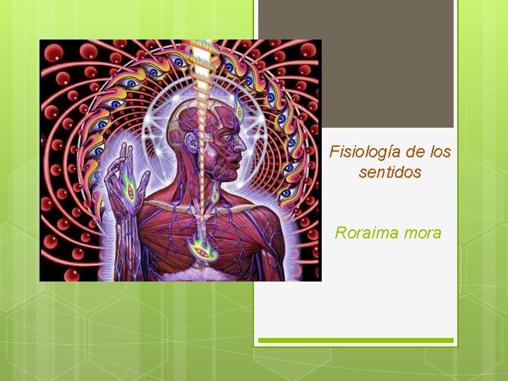 Fisiología de los sentidos Roraima mora 