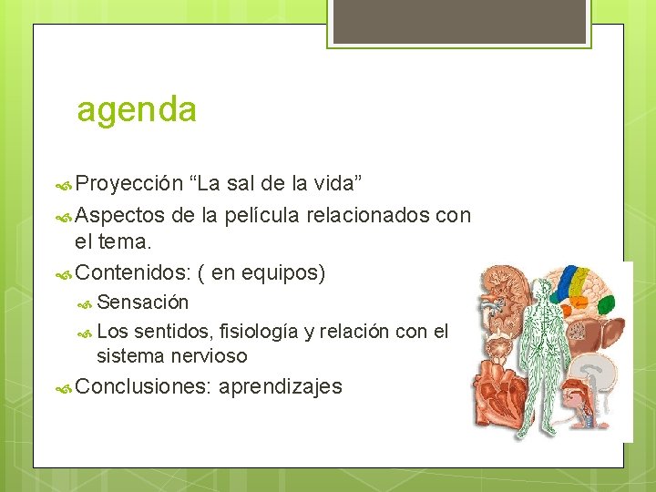 agenda Proyección “La sal de la vida” Aspectos de la película relacionados con el