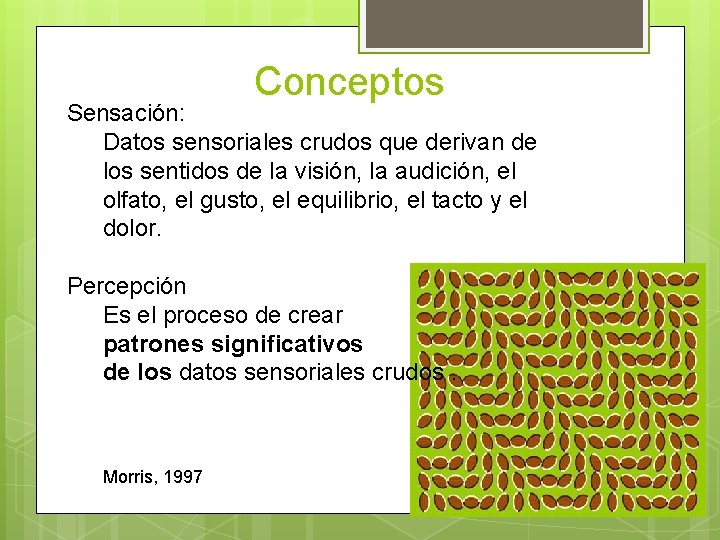 Conceptos Sensación: Datos sensoriales crudos que derivan de los sentidos de la visión, la