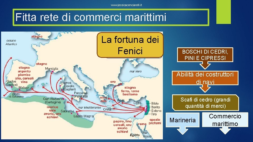 www. jessicacenciarelli. it Fitta rete di commerci marittimi La fortuna dei Fenici BOSCHI DI