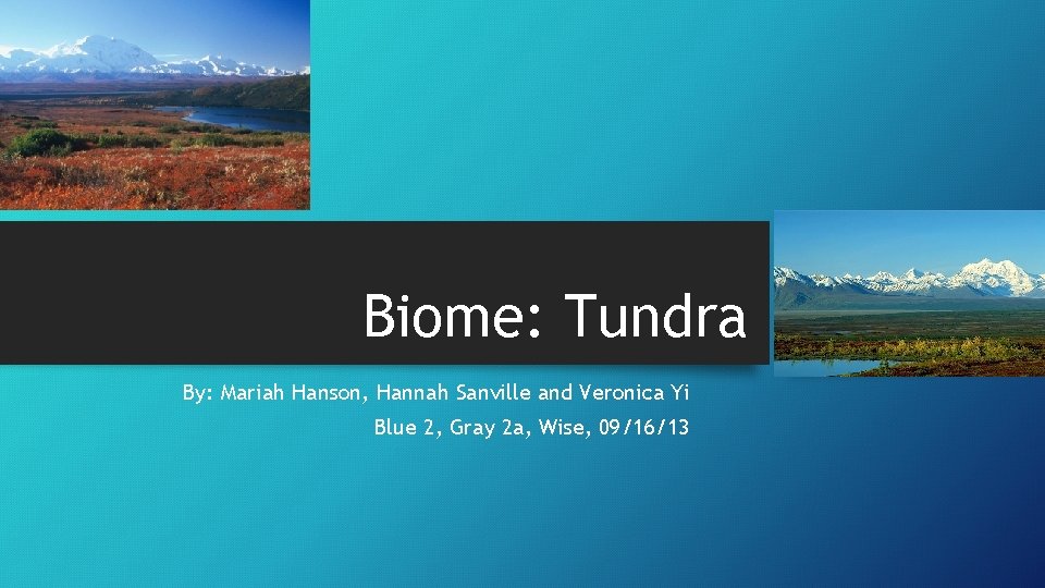 Biome: Tundra By: Mariah Hanson, Hannah Sanville and Veronica Yi Blue 2, Gray 2