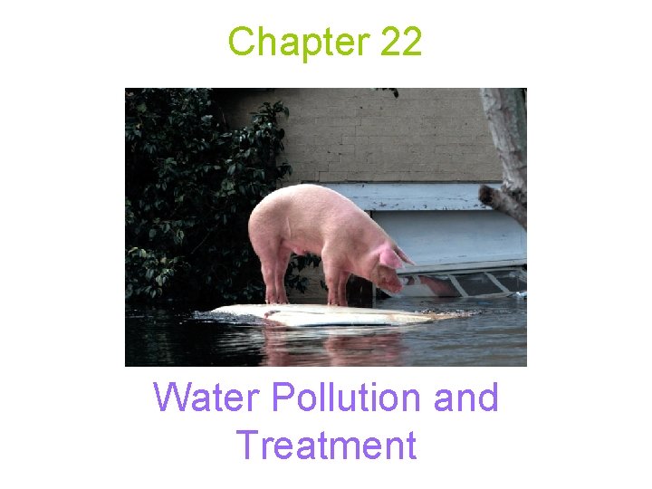 Chapter 22 Water Pollution and Treatment 