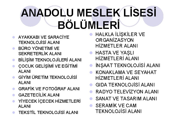 ANADOLU MESLEK LİSESİ BÖLÜMLERİ l AYAKKABI VE SARACİYE TEKNOLOJİSİ ALANI l BÜRO YÖNETİMİ VE