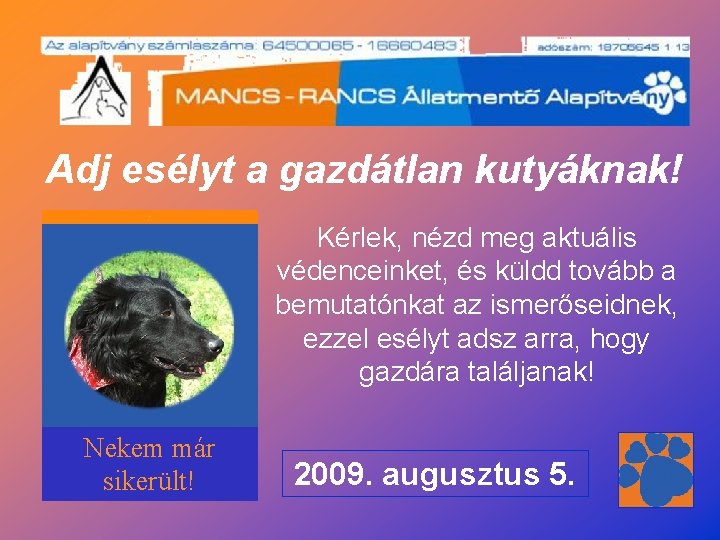 Adj esélyt a gazdátlan kutyáknak! A Nekem már sikerült! Kérlek, nézd meg aktuális védenceinket,