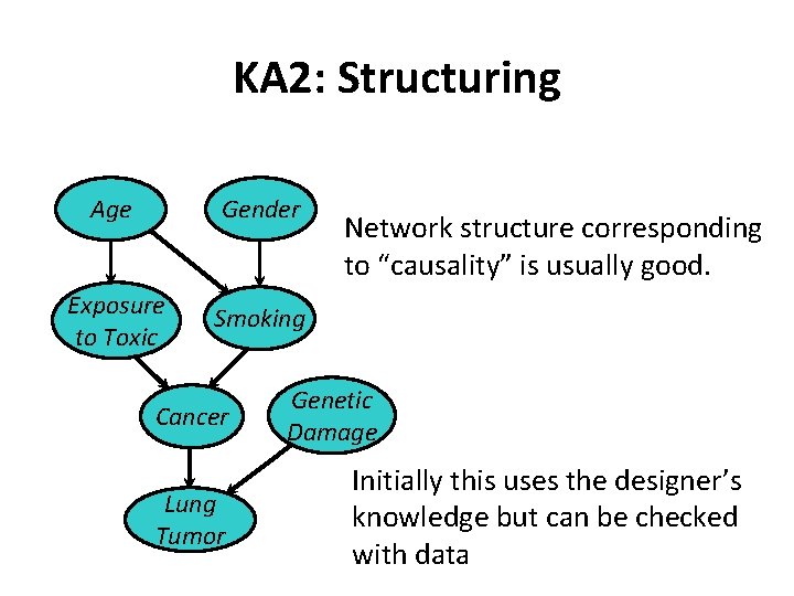 KA 2: Structuring Age Gender Exposure to Toxic Smoking Cancer Lung Tumor Network structure KA 2: Structuring Age Gender Exposure to Toxic Smoking Cancer Lung Tumor Network structure