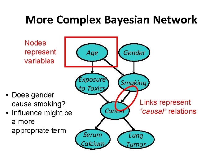 More Complex Bayesian Network Nodes represent variables • Does gender cause smoking? • Influence