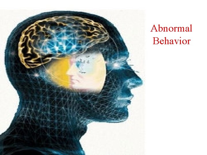 Abnormal Behavior 