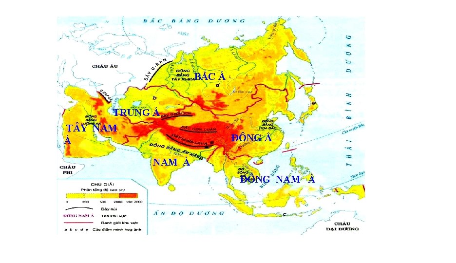 BẮC Á TRUNG Á T Y NAM Á ĐÔNG Á NAM Á ĐÔNG NAM