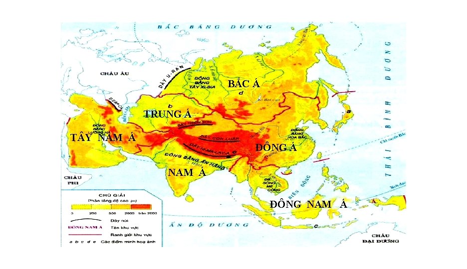 BẮC Á TRUNG Á T Y NAM Á ĐÔNG Á NAM Á ĐÔNG NAM