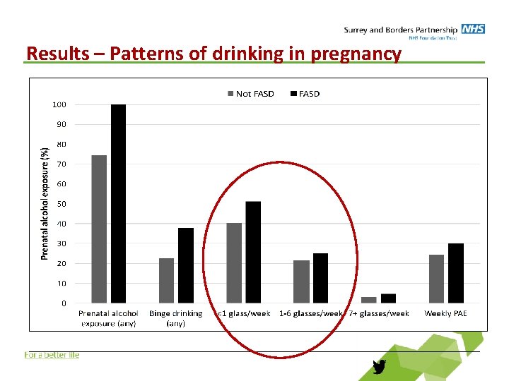 Results – Patterns of drinking in pregnancy 